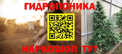 spice Свободный